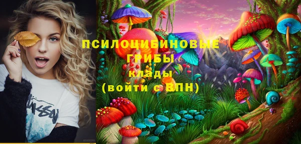 ECSTASY Верхний Тагил